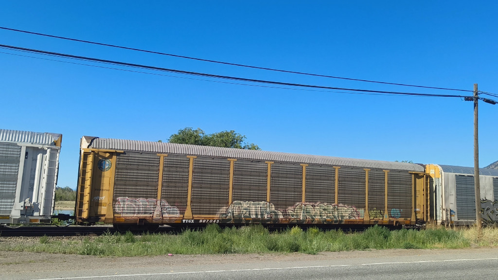 BNSF 23782 (Body) TTGX 987043 (Flat)